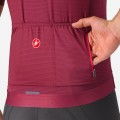 Bekleidung Herren Trofeo Giro d'Italia 2024 Trikot-Bordeaux