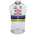 Bekleidung Herren Kalas Alpecin Deceuninck 2024 Weste-WC
