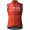 Bekleidung Herren Gobik Ineos Grenadiers 2024 Plus 2.0 weste
