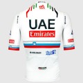 Bekleidung Herren Pissei Team UAE 2024 Magistrale Trikot-Slowenischer Meister