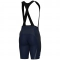 Bekleidung Herren Ale National French 2025 PRS 2.0 tragerhose