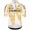 Bekleidung Herren Q36.5 Pro Team Off-Road 2025 Gregarius trikot