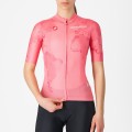 Bekleidung Herren Ciclamino-Trikot Giro d'Italia 2025 Competizione 3