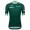 Bekleidung Herren Trikot Santini Grün Tour de France 2025 Fan Line