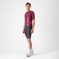 Bekleidung Herren Trikot Siena Giro d'Italia 2025