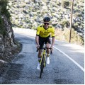 Bekleidung Herren Team Visma Lease a bike 2025 trikot