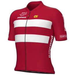 Bekleidung Herren Ale Dänische Nationalmannschaft 2025 trikot