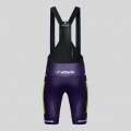 Bekleidung Herren Gobik Wilier Vittoria 2025 Absolute Print K10 tragerhose
