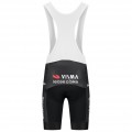 Bekleidung Herren Team Visma Lease a bike 2025 The Swarm tragerhose-Tdf