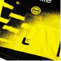 Bekleidung Herren Team Visma Lease a bike 2025 The Wingbeat trikot