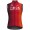 Bekleidung Herren Gobik Ineos Grenadiers 2025 Plus 2.0 weste
