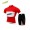2016 BAT FOX Fahrradbekleidung Radtrikot Kurzarm+Kurz Radhose Rot O5KJB