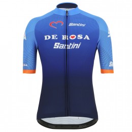 De Rosa Santini 2019 Fahrradbekleidung Radtrikot 8USD6