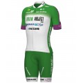 Green Project-Bardiani Csf-Faizane' 2023 Set(Radtrikot langer RV+Trägerhose)-ALE Radsport-Profi-Team